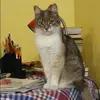 Отзыв от Наталья Анисимова